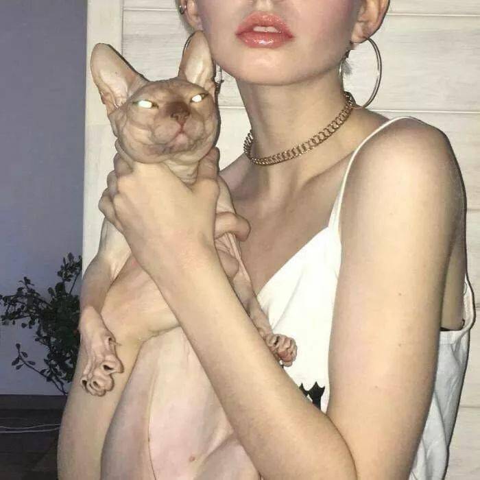 小森林素材铺 第30张.jpeg