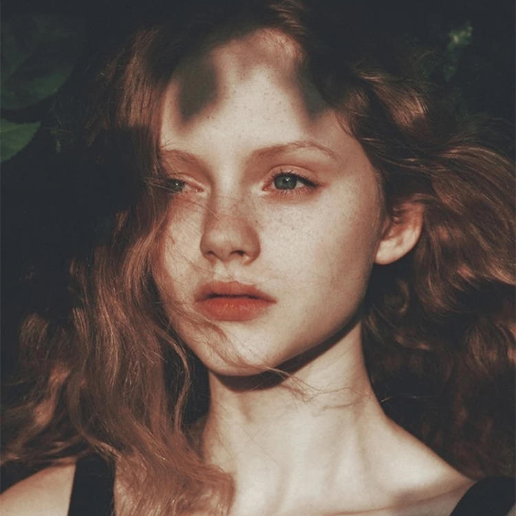 小森林素材铺 第35张.jpg