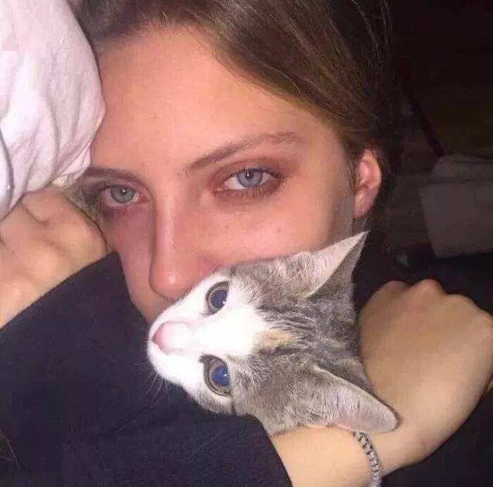 小森林素材铺 第41张.jpeg